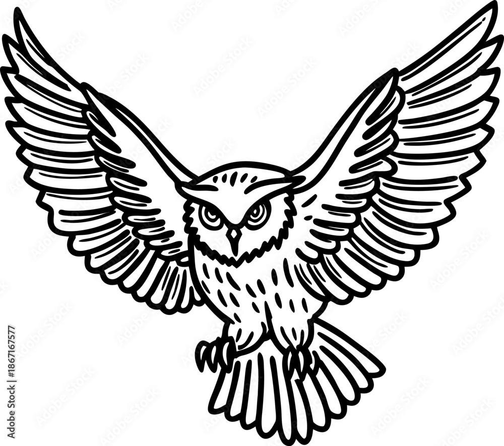 Fototapeta premium Flying owl with outstretched wings, detailed black and white illustration of a majestic bird of prey in flight