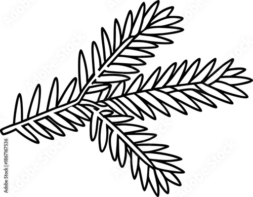 pine branch outline icon simple black line evergreen tree twig with long needle leaves