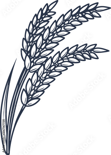 three stalks of rice grain heads in simple outline agriculture and grain harvest concept