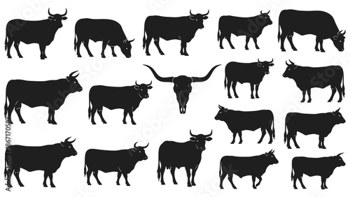 Collection of Silhouettes of Various Cattle Breeds and a Bull Skull.
