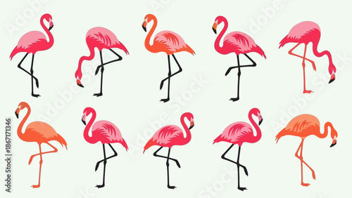 A collection of ten cartoon-style flamingos, some standing on one leg and others bending down, in various shades of pink and orange.
