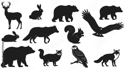 Photography Collection of Silhouettes of Various Wild Animals Including Deer, Rabbits, Bears, Foxes, Squirrels, Eagles, and Owls