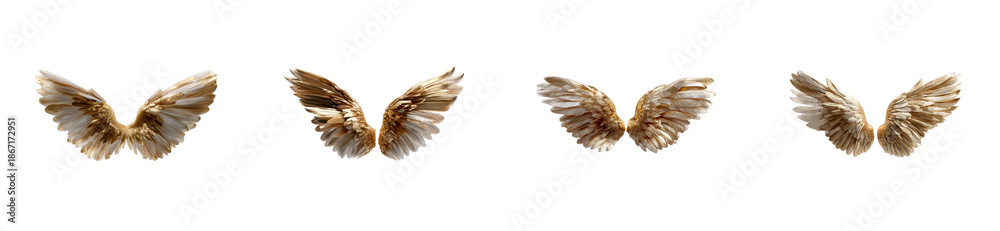 Obraz premium Ornate golden angelic wings elegantly depicted, showcasing spiritual elegance and divine grace, ideal for inspiring celestial themed presentations, premium branding, and luxurious
