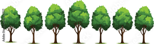 Row of green trees illustration isolated on white background, nature forest landscape vector design for ecology, environment, growth, seasonal concept spring summer autumn winter