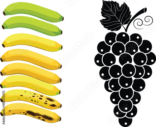 Banana Ripening Stages and Grape Silhouette Illustration SetBanana Ripening Stages and Grape Silhouette Illustration Set