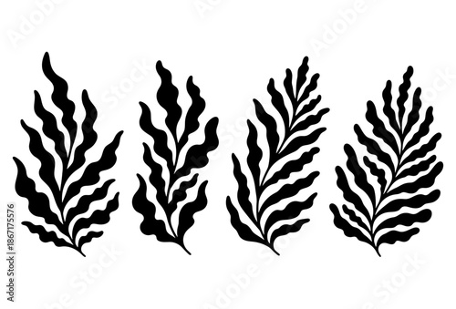 Tropical palm leaves and fern silhouette vector collection