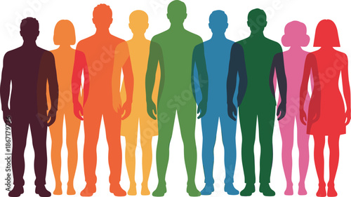 Colorful diverse human silhouettes standing together, abstract people illustration symbolizing diversity, inclusion, equality, community, teamwork, and modern society on white background