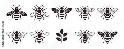 Collection of various honey bee illustrations in black silhouette and line art style with a leaf element