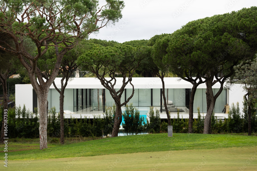 Obraz premium Golf course and trees in the light 