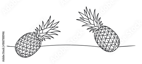 Simple handdrawn outline of two tropical pineapples perfect for summer vacation themes healthy eating guides or fun educational activities and coloring books
