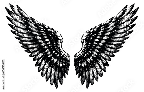 Hand drawn line art illustration of a pair of wings depicting outstretched feathers for symbolic design