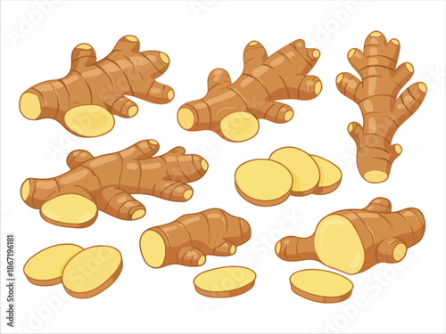 Fresh Ginger Root Illustrations in Various Forms and Slices