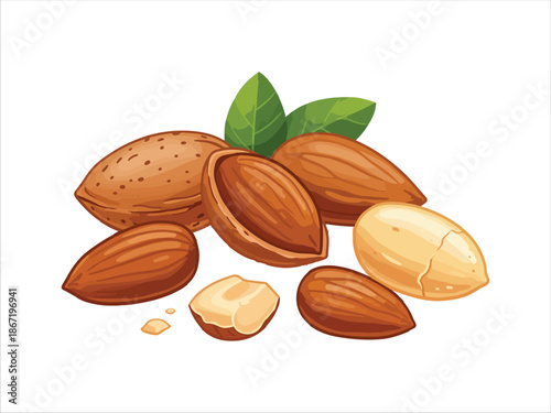 Illustration of almonds with shells and kernels