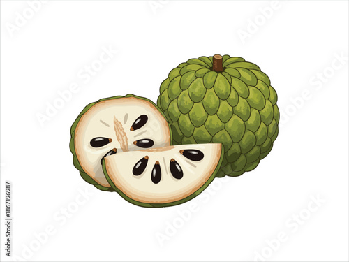 Illustration of a whole and halved custard apple fruit
