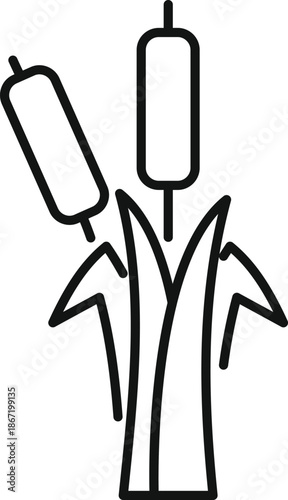 Cattails growing, representing nature, marsh, and wetland life