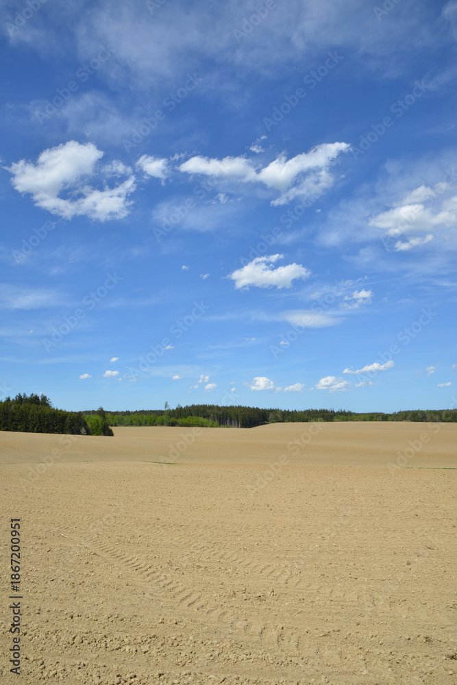 Fototapeta premium Feldlandschaft, Frühjahr