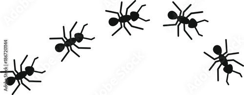 Black ant silhouettes forming a curved line, illustrating teamwork and organization