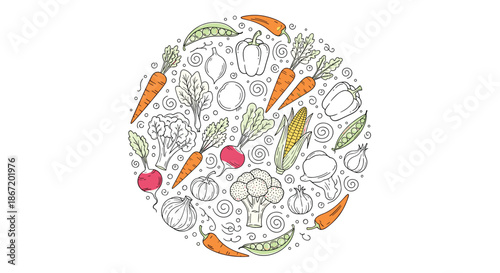 Fresh vegetable collection arranged in a circular pattern including carrots, peppers, broccoli, and corn for healthy food concepts.