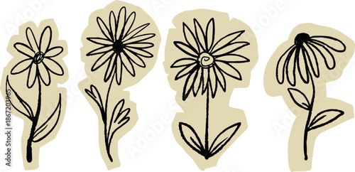 Simple flowers set, hand drawn black ink doodle of various daisy flowers in paper cut style. Cute flowers set with a beige paper texture background.