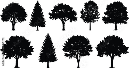 Black tree silhouettes vector set isolated on white background for forest landscape nature design deciduous and evergreen conifer outdoor illustration