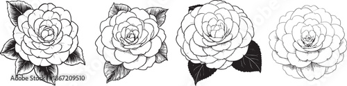 rounded multilayer peony-style flower drawn as a soft black vector outline with detailed contour petals