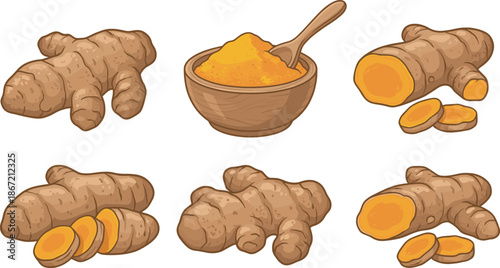 Fresh turmeric and ginger root set with powder in wooden bowl, sliced rhizomes and whole tubers, healthy spice vector illustration on white