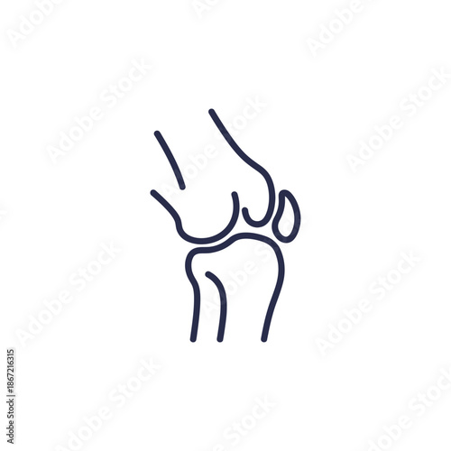 Minimalist Line Drawing of a Knee Joint Highlighting Anatomy