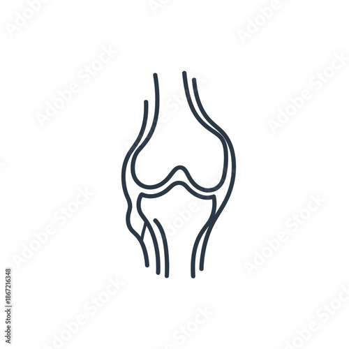 Minimalist Line Drawing Depicting a Human Knee Joint Illustration