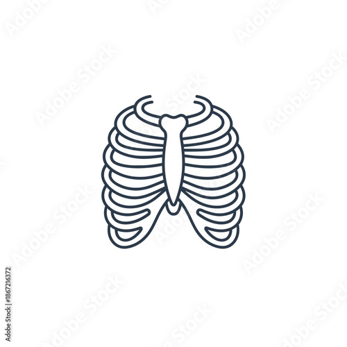 Stylized Artistic Illustration of Ribs and Thoracic Cage in Minimal Line Art