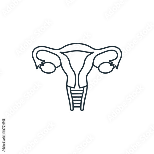 Minimalist Illustration of Female Reproductive System with Elegant Line Art