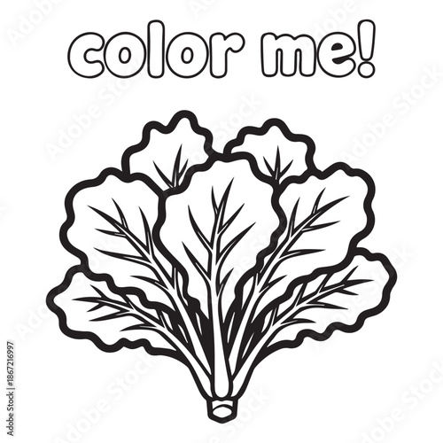 Letus Vegetable Coloring Page for Kids – Simple Healthy Food Outline Printable