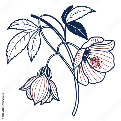 Abutilon Flowers with Bud and Veined Leaves on Branch