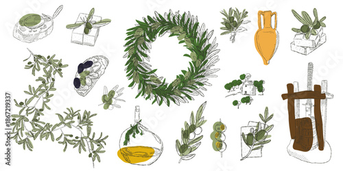 Hand drawn olive elements set with branches oil bottle and Mediterranean food symbols