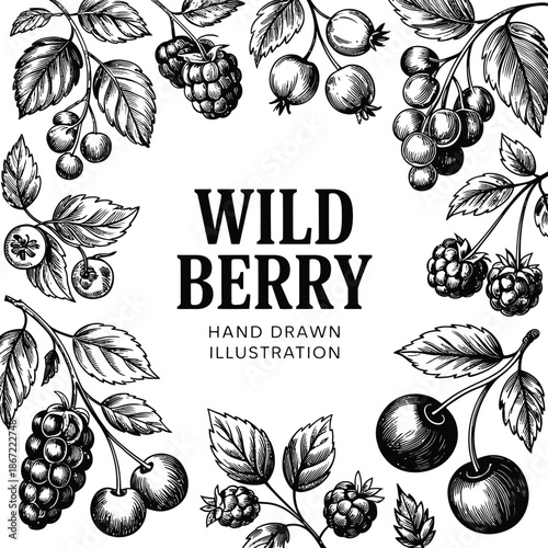 Wild berry drawing, artistic hand drawn vintage vector frame with assorted summer berries such as strawberry cranberry and cherry, classic botanical fruit illustration for food labels, recipe books, m