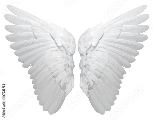 Cupid Wings Isolated on Transparent Background 