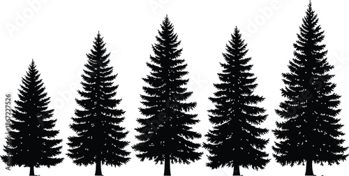 Black spruce pine tree silhouettes set, winter forest evergreen collection, festive holiday fir icons, nature woodland symbols, minimalist conifer vector elements,