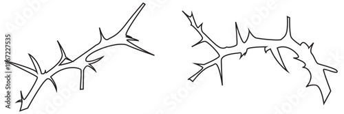 Thorny Branch icon. Collection of black thorny branch silhouettes isolated on white background, useful for dark design, botanical themes, decoration, or abstract nature concepts.

