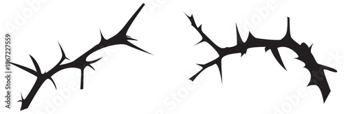 Thorny Branch icon. Collection of black thorny branch silhouettes isolated on white background, useful for dark design, botanical themes, decoration, or abstract nature concepts.

