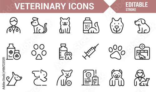 Modern pet healthcare and veterinary outline icons