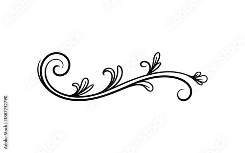 Elegant floral swirl design a delicate black and white ornamental element