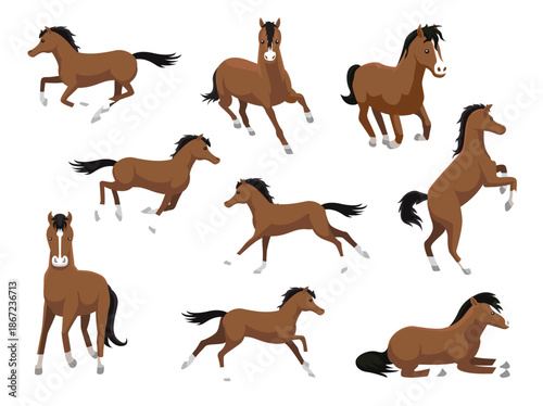 Arabian Horse Various Poses Cartoon Vector Illustration