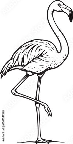 Elegant Black and White Hand Drawn Flamingo Bird Isolated Line Art Sketch
