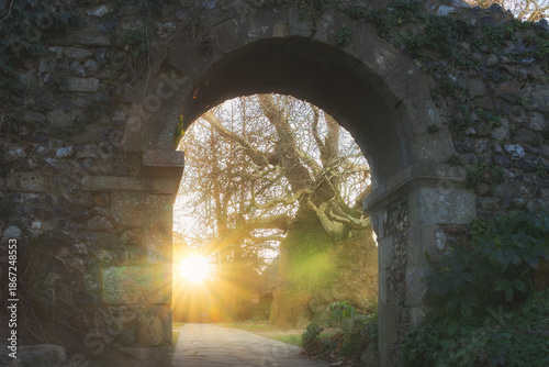 Sunlight Through Ancient Stone Archway in Woodland Path