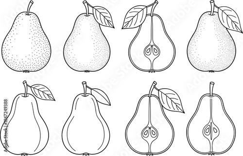 Fresh Pear Fruit Outlines and Slices Set for Healthy Food Illustrations and Coloring Books, CAD Drawing Flat Vector Illustration, Organic