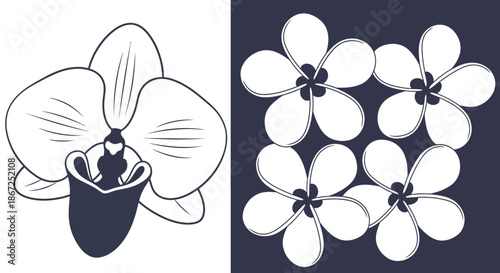 Stylized white orchid and tropical plumeria flowers are presented in a split graphic.