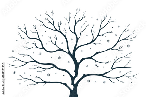 Bare winter tree silhouette shows delicate branches against white.