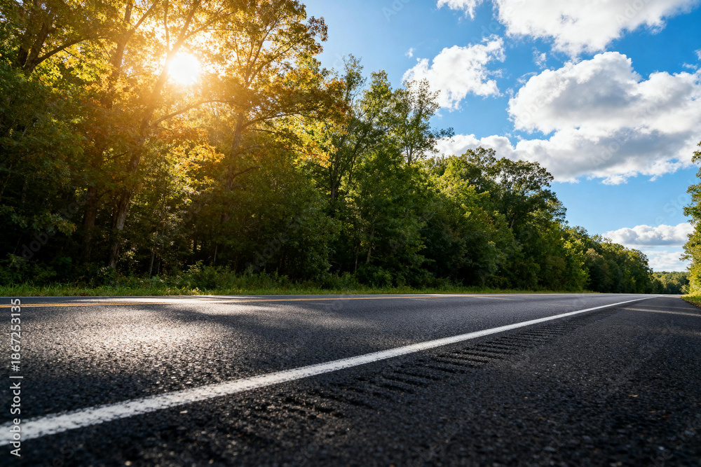 Fototapeta premium Sunlit Asphalt Road Through Forest