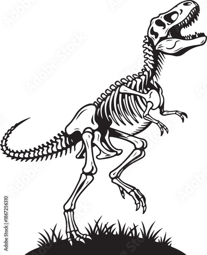 Monochrome T-Rex Skeleton Standing on Grass Isolated Illustration
