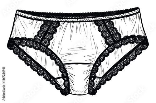 Elegant monochrome line drawing depicting womens sheer lace panties, perfect for use in lingerie product advertising, apparel catalogs, or intimate wear promotional content.