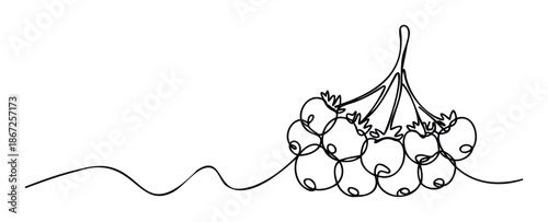 Continuous line graphic showing a natural cluster of organic garden berries on a stem, ideal for simplistic botanical print projects and healthfocused packaging.